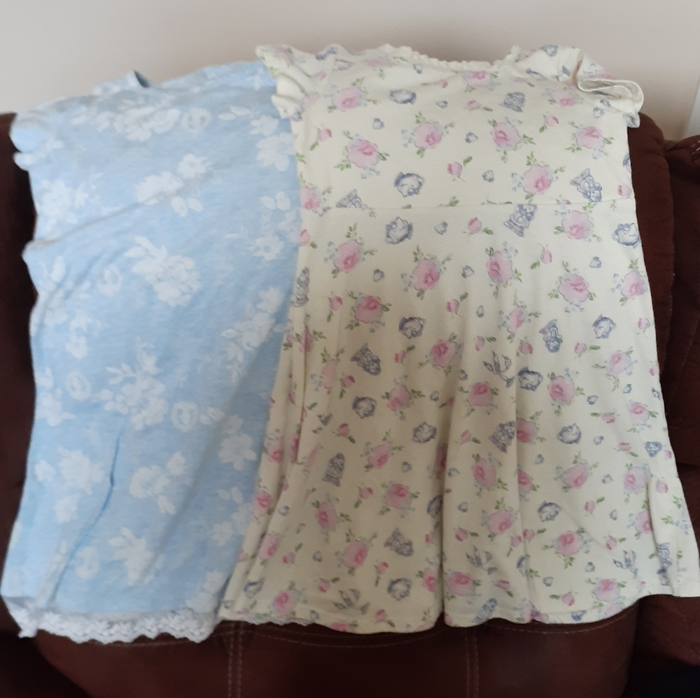 Disney Princess dresses